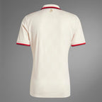 FC Bayern 24/25 Third Kit